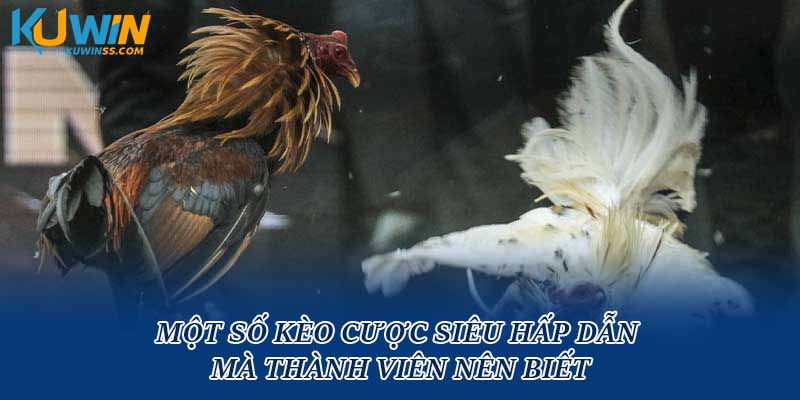 Một số kèo cược siêu hấp dẫn mà thành viên nên biết